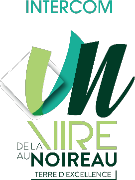 IVn-logo